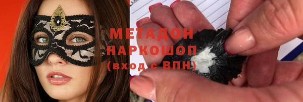 прущие грибы Абаза