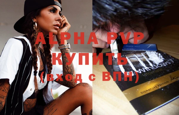 прущие грибы Абаза