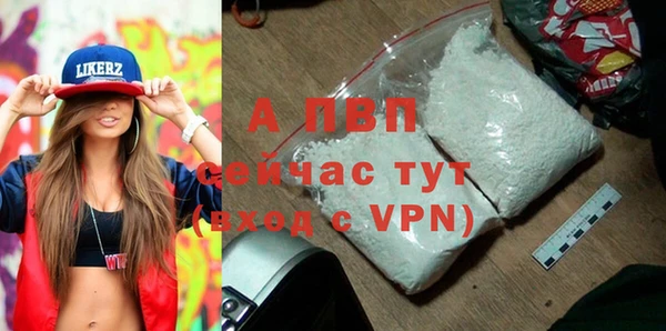 стафф Покачи