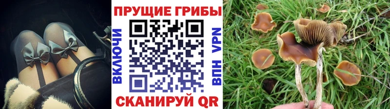 даркнет как зайти Красноперекопск Галлюциногенные грибы мухоморы цены наркотик